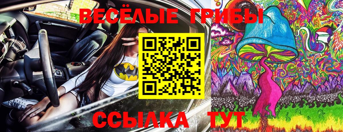 Псилоцибиновые грибы Cubensis Назарово